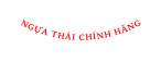NGỰA THÁI CHÍNH HÃNG