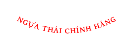 NGỰA THÁI CHÍNH HÃNG