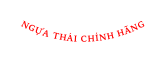 NGỰA THÁI CHÍNH HÃNG