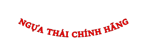 NGỰA THÁI CHÍNH HÃNG