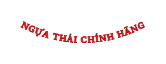 NGỰA THÁI CHÍNH HÃNG
