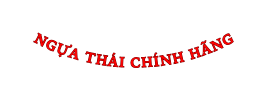 NGỰA THÁI CHÍNH HÃNG